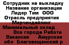 Сотрудник на выкладку › Название организации ­ Лидер Тим, ООО › Отрасль предприятия ­ Мерчендайзинг › Минимальный оклад ­ 18 000 - Все города Работа » Вакансии   . Амурская обл.,Благовещенский р-н